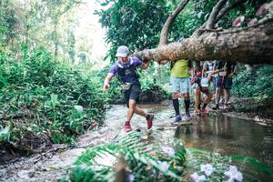 BIB: 
                            <button type="button" onclick="openModal(25450450)" class="btn btn-primary btn-sm float-right btn-popup" data-toggle="modal" data-target=".modal-high-quality">
                        <i class="fas fa-shopping-cart"></i> Add to Cart
                    </button>
                                            <button type="button" onclick="isThisMe(25450450, true)" class="btn btn-success btn-sm float-right btn-popup btn-isme hidden" data-toggle="tooltip" data-placement="bottom" title="นี่คือรูปของคุณใช่ไหม คลิกที่นี่เพื่อเอาเข้าอัลบั้ม">
                        <i class="fas fa-plus"></i> Add to album
                    </button>
                    <button type="button" onclick="isThisMe(25450450, false)" class="btn btn-warning btn-sm float-right btn-popup btn-isnotme hidden">
                        <i class="fas fa-ban"></i> Remove from album
                    </button>